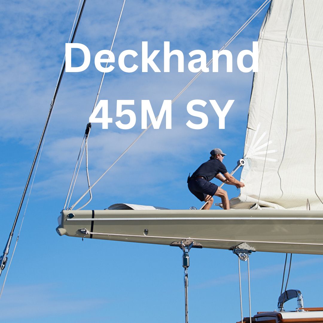 WhatsApp Image 2025-09-09 at 19.03.40